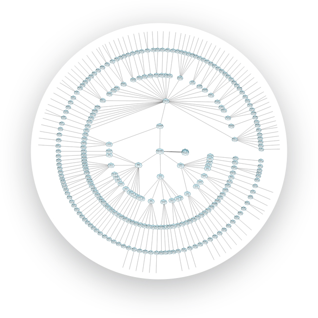 Network Discovery Tool Network Discovery and Mapping NetBrain
