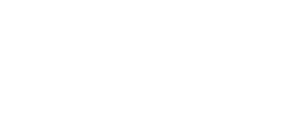 Capitalone-1-300x120-1
